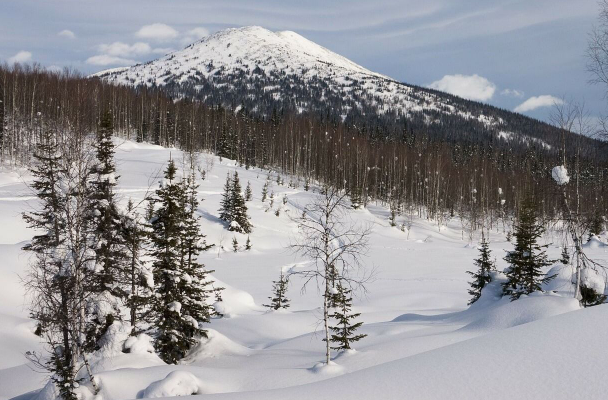 极寒环境.png 极寒环境.png