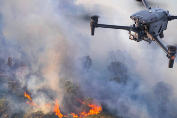 森林火警.png 森林火警.png